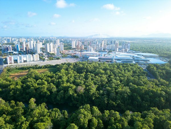 Histoire et utilisation du tanto japonais