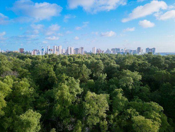 Transformez votre espace avec habitat jardin Écologie déco travaux lifestyle